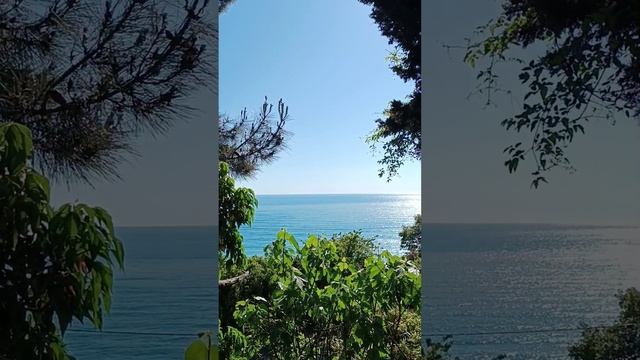 Будни домохозяйки из Сочи 🌴