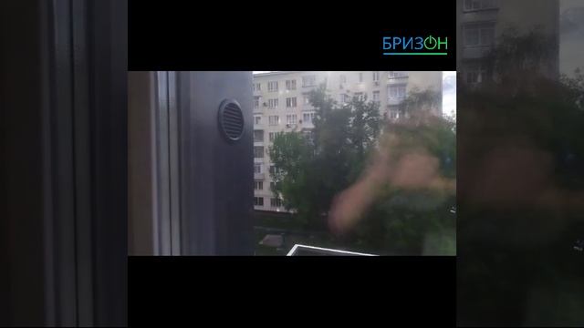 Баллу 100