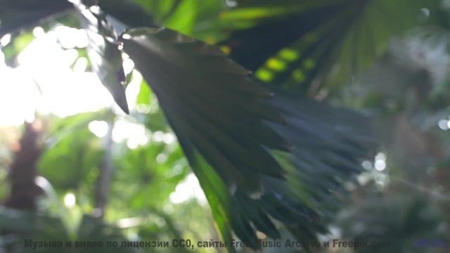 Пейзажи дышат в такт каждому аккорду - Darkness Falls So Quiet -- Nicole Atkins -- Live at WFMU for