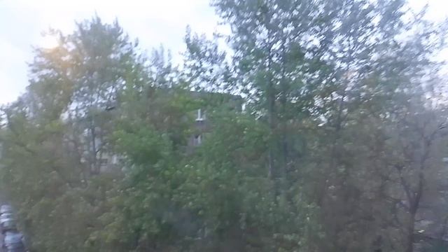 VID_20250521_042358