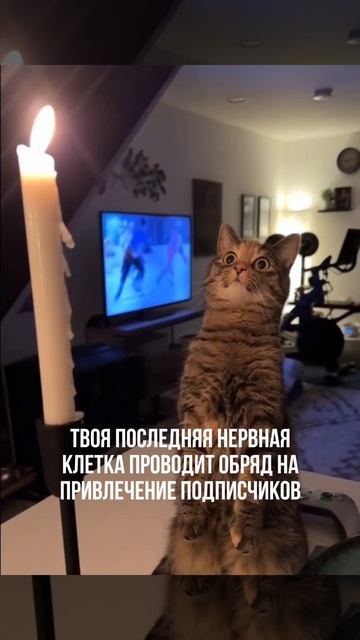 ПОДПИСЫВАЙСЯ НА КАНАЛ➡️@content_smm
⠀