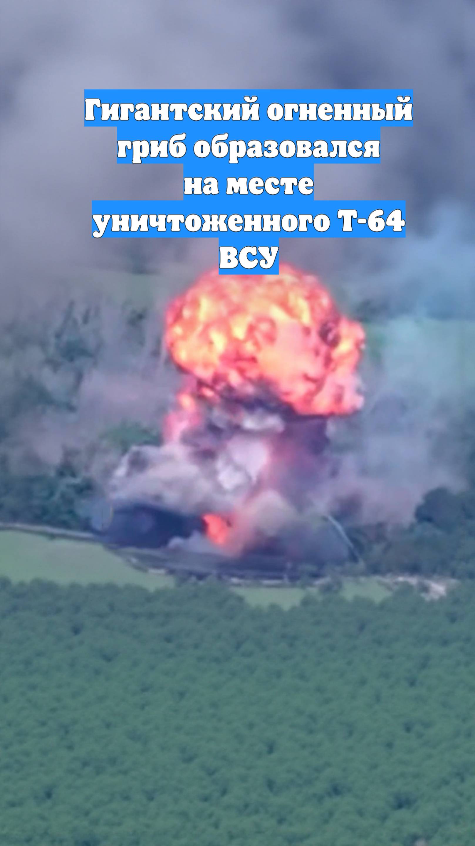 Гигантский огненный гриб образовался на месте уничтоженного Т-64 ВСУ