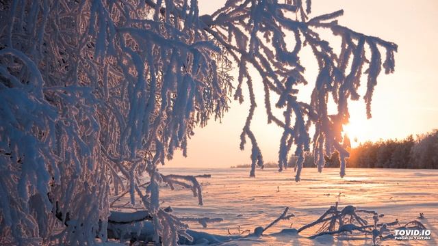 Мария Романова "Симфония поющих деревьев. Времена года", 4 ч. "Зима. Иней на деревьях"