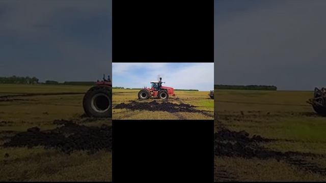 Посевная 2025 Челябинск Курган
