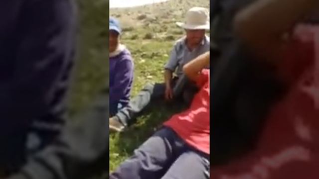 Узбекча Прикол