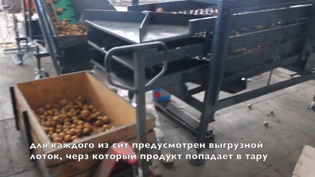 Машина для калибровки картофеля сетчатая (4-х фракцион