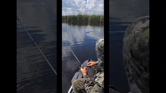 Рыбалочка, в конце видео мощная щука.