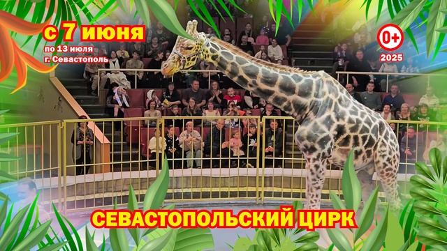 Жираф шоу в Севастопольском цирке