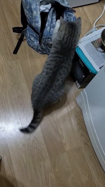 Не подойдет ли мне эта вещь, надо изучить!