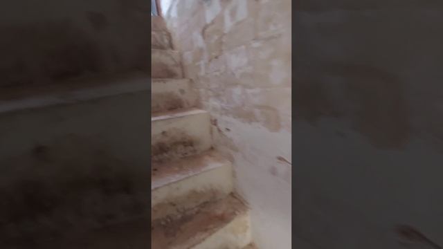 Обзор со смотровой площадки на затопленной Калязинской колокольне