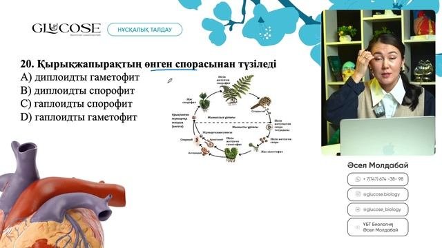 БИОЛОГИЯ НҰСҚА ТАЛДАУ | ҰТО ЖАҢА ФОРМАТ | 2-ЭФИР | ҰБТ 2025