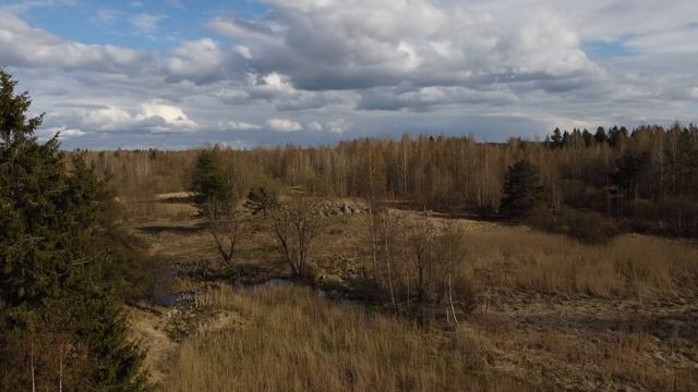 Весна поля леса облака футаж