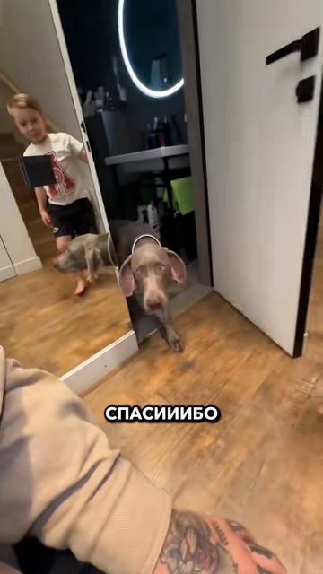 Павлов Family (163)