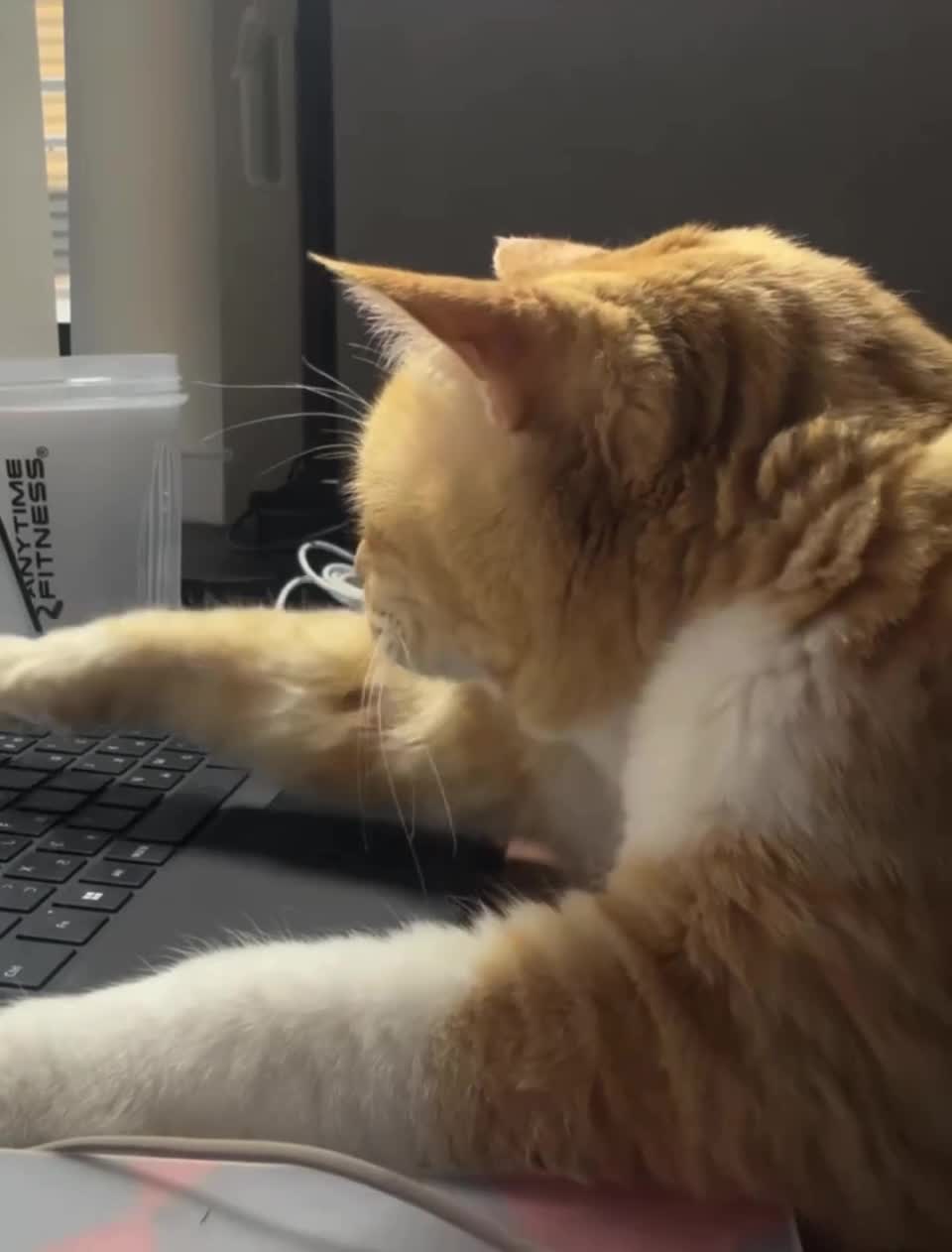 Подпишись 👉 https://vk.com/ykrasheniy_iz_kamny