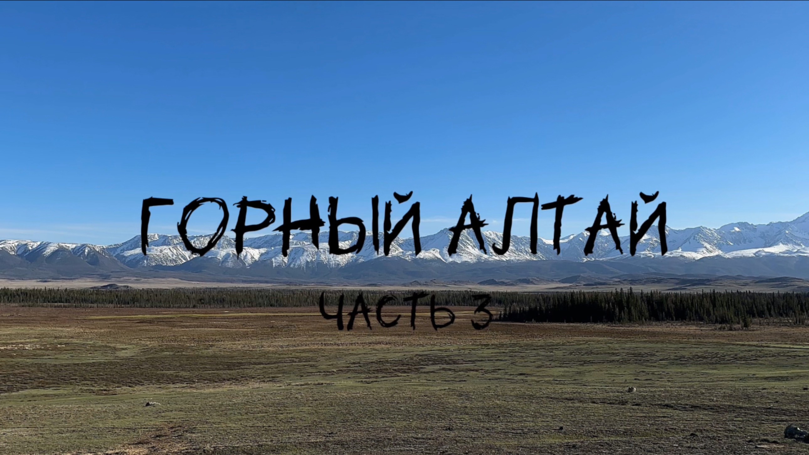 Наше маленькое путешествие на автодоме с двумя котами на Горный Алтай. Часть 3
