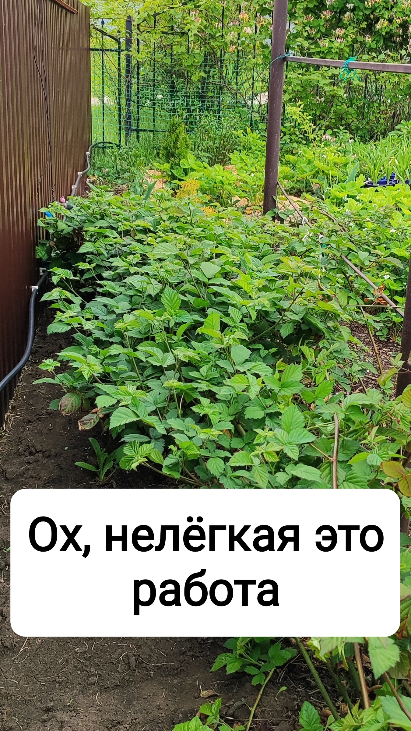 Мы справились