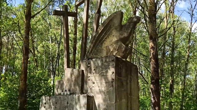 Такого вы не видели в Беларуси . Единственное ... Едем , ?