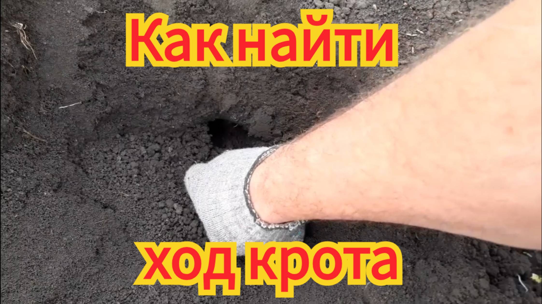 Как быстро и легко, найти ход крота.