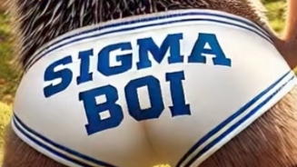 сигма бру 6467