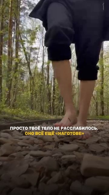 Не можешь уснуть?