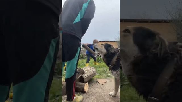 Давайте познакомимся! #уралочка #уральскаядевушка
