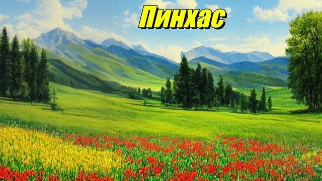 Пинхас