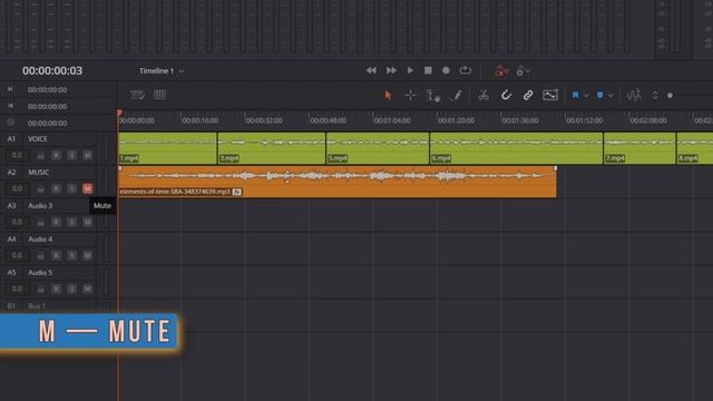 Как сделать звук идеальным в DaVinci Resolve: голос, шумы и му?