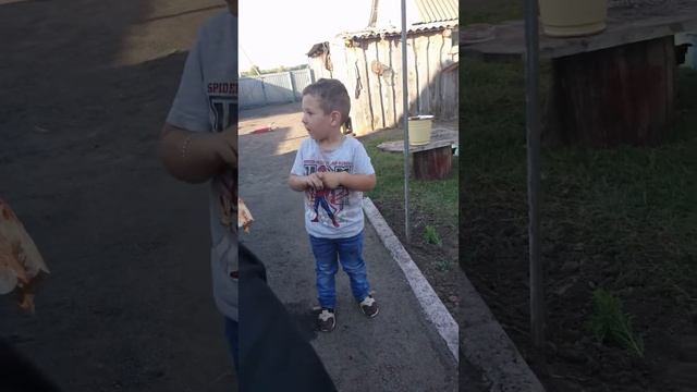 Приколы с детьми/Мальчик поет песню Лада-седан баклажан