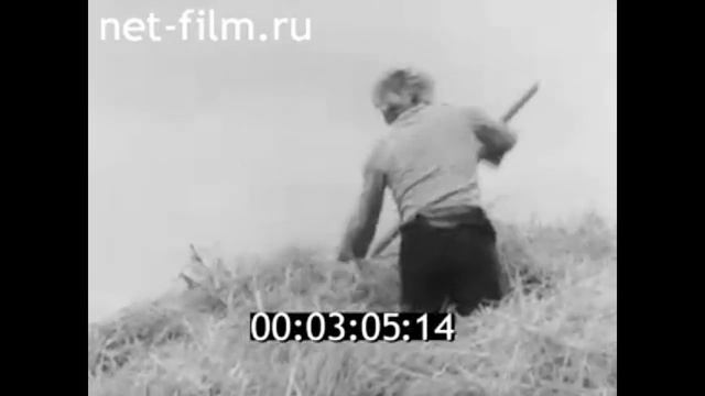 1982г. совхоз Кировец Немский район Кировская обл
