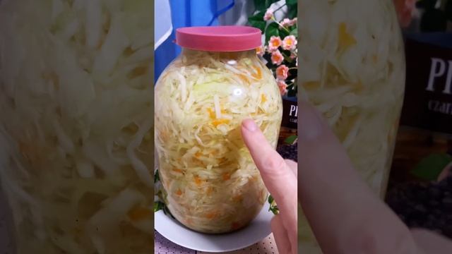 Квашена Капуста на Зиму з Кропом Лавром і Перцем @Galina-Ya