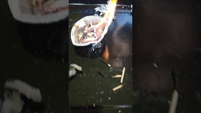 VID_20250521_160706.mp4