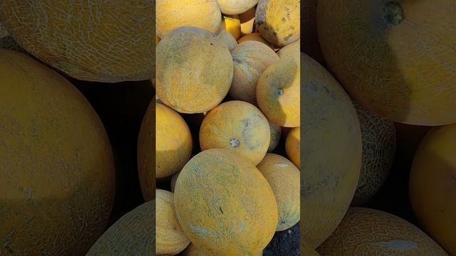 #арбуз#дыня#бахча#сезо