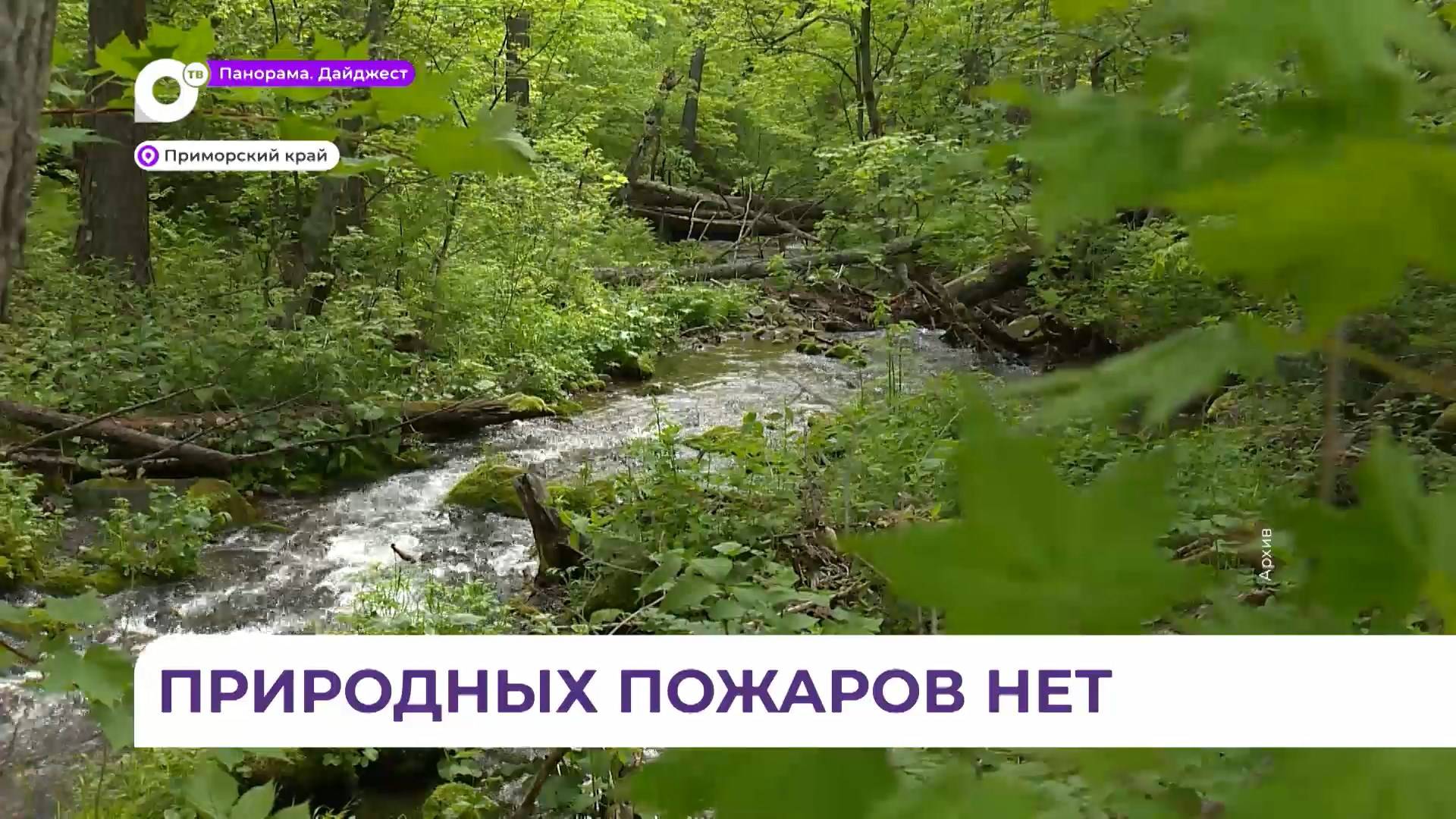 Особый противопожарный режим отменён в Приморье