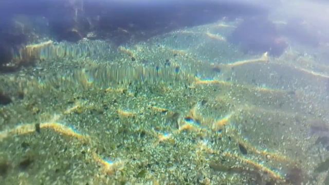 Одесса ⚓Водный мир) 🍂💚🍂#уЧерногоМоря ✨ Ноябрь 2024