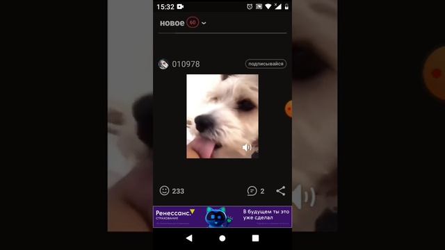 Смотрю ай да прикол