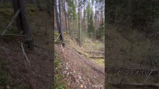 Ждём в гости