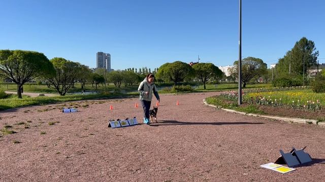 РО1 дебют Юлия Безсонова и Чара Кубок Панды по ралли обидиенс 2025