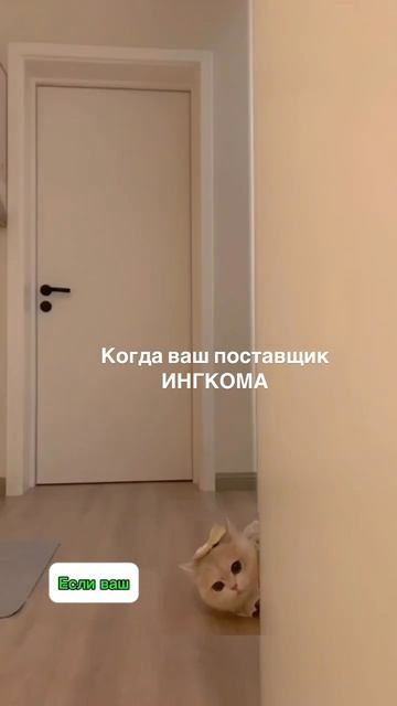 Все под контролем, когда ваш поставщик ИНГКОМА!