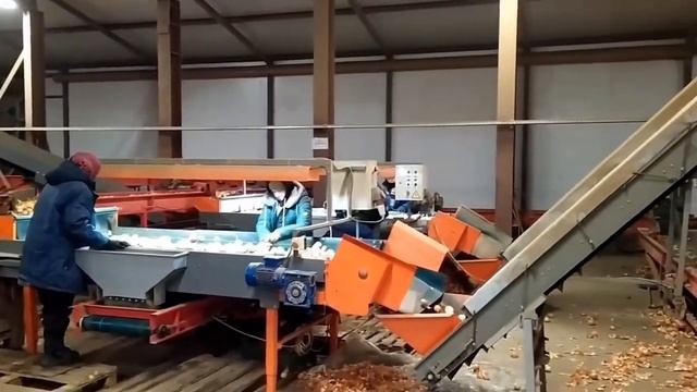 Линия по сортировке лука в Астраханской области