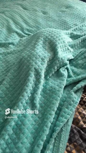 Призрак Сущность Мистика Прикол Кошка #животные #приколы #shorts