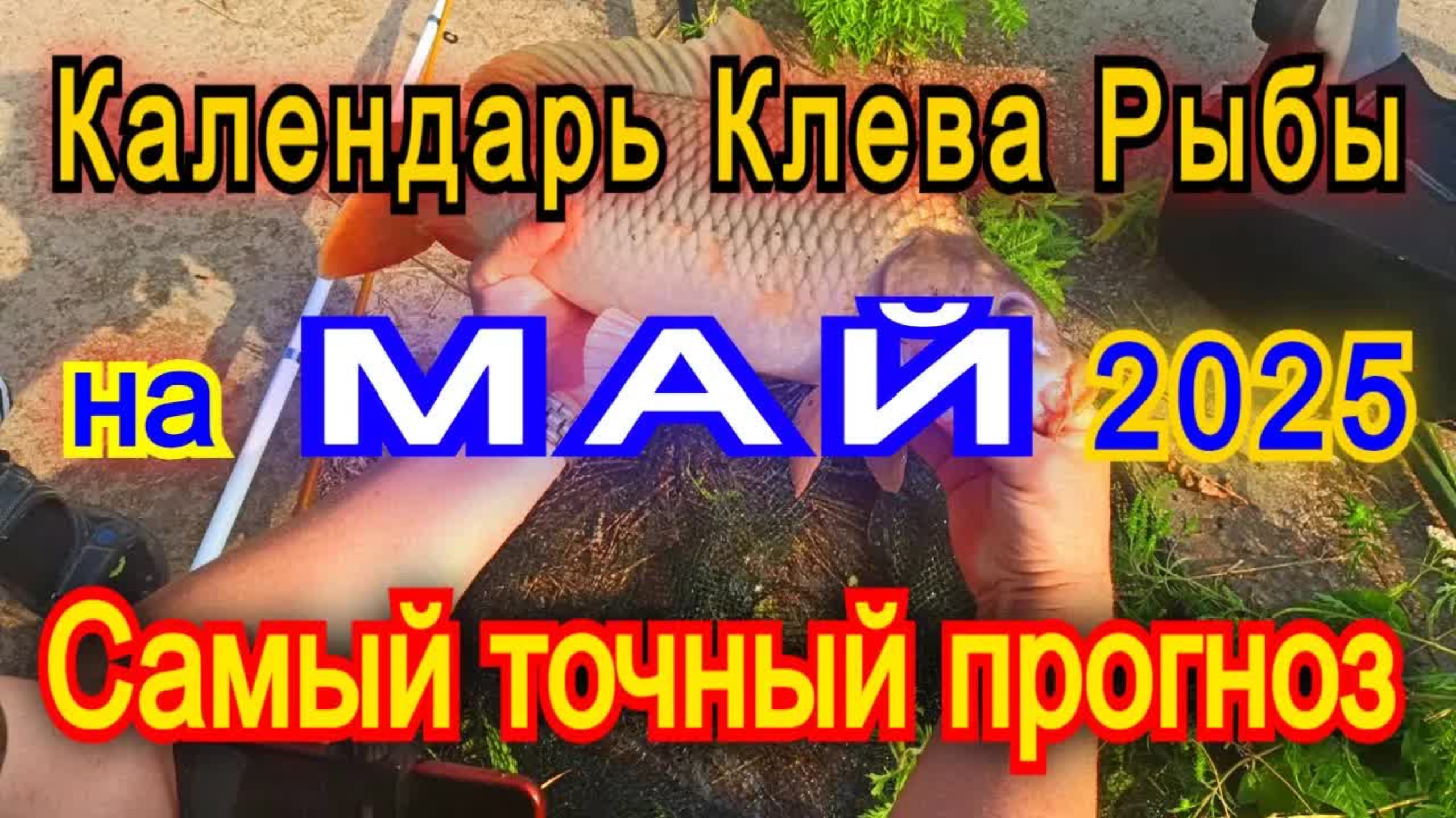 Календарь клева на МАЙ 2025 Прогноз клева рыбы. Лунный Календарь рыбака 2025!