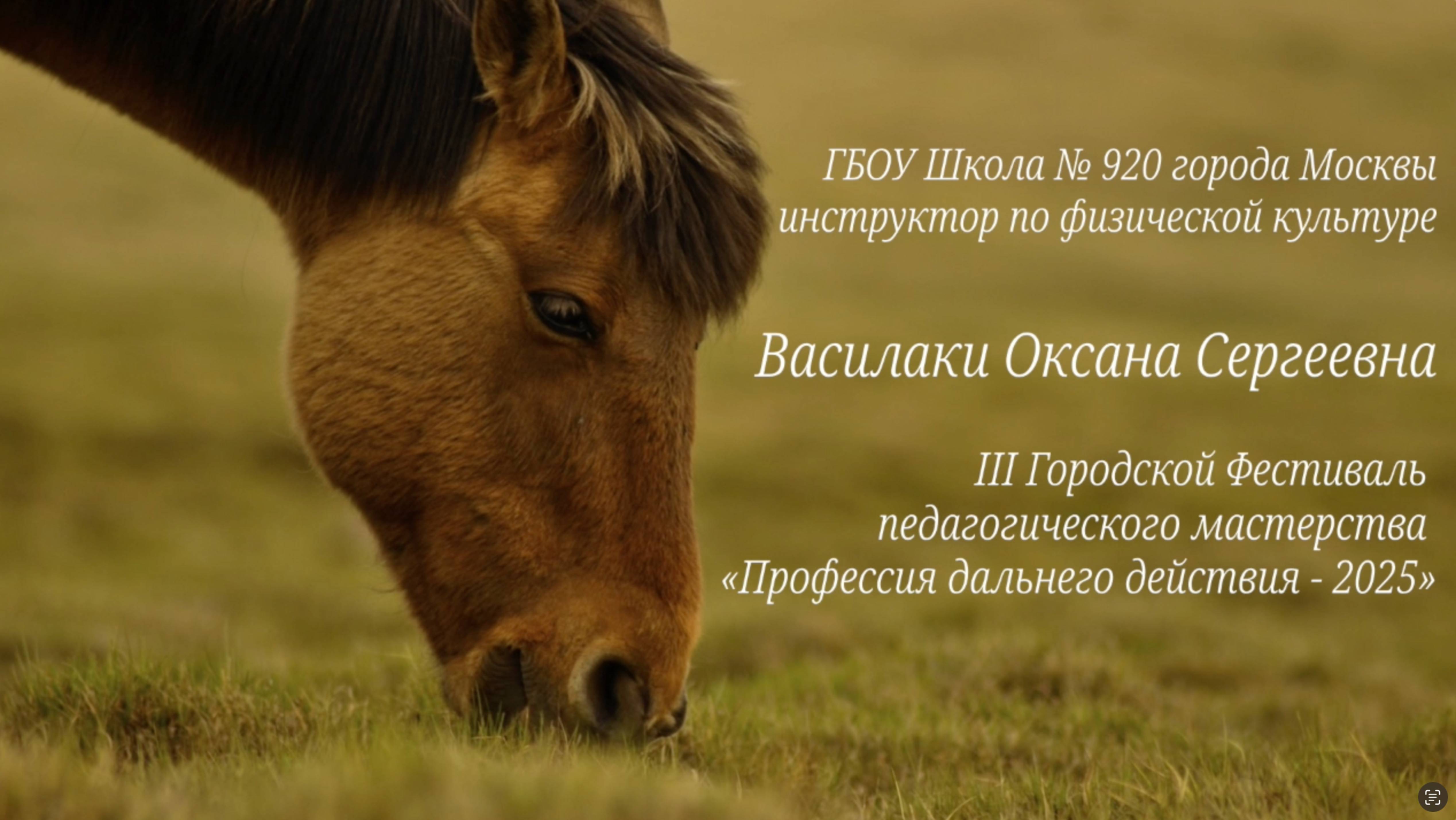 Семейный конно-спортивный клуб «Измайлово» (Педагогический фестиваль «Профессия дальнего действия»)