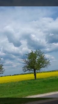 Быть. Жить. Любить (авторская)