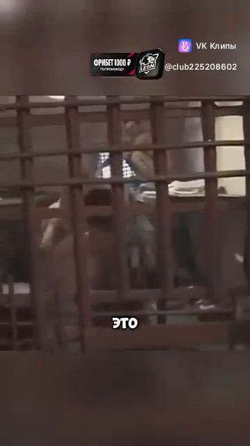 VID-20250519-WA0293