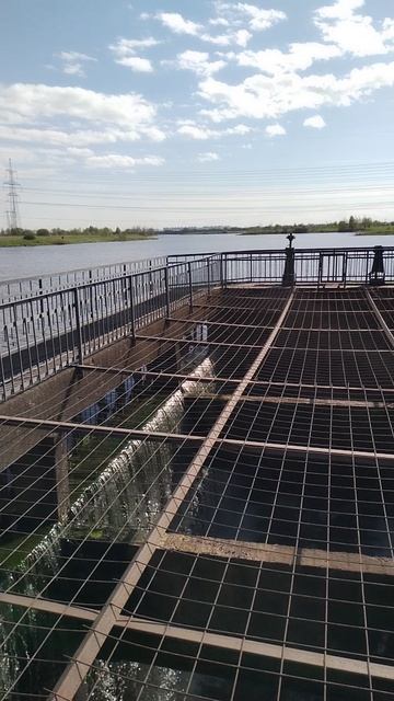 Сброс воды на Кузьминском водохранилище, окраина Петербурга, 20 мая 2025.