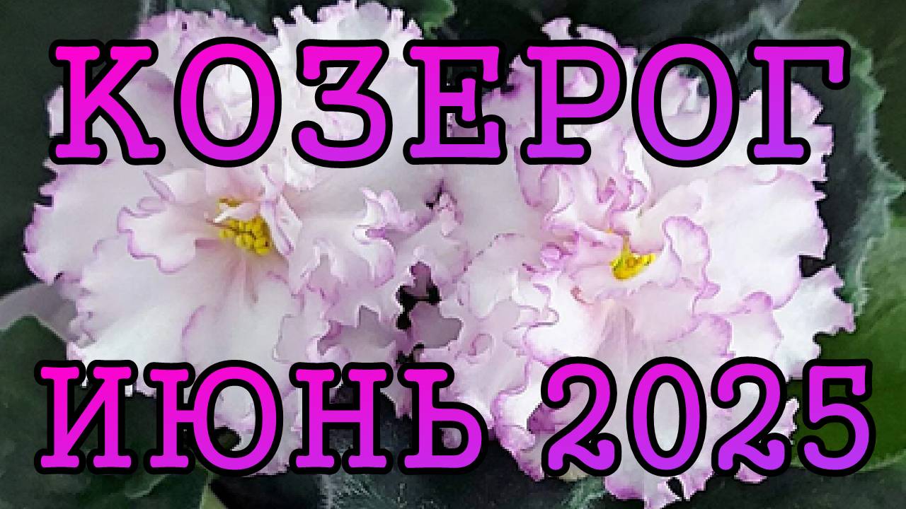 КОЗЕРОГ таро прогноз на ИЮНЬ 2025 года.
