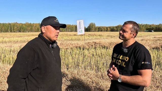 Потеря чечевицы, рекорды по пшенице и рапсу. Урожай 2024