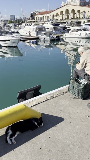 Вайб  Сочи. Рыбалка на Морпорту.