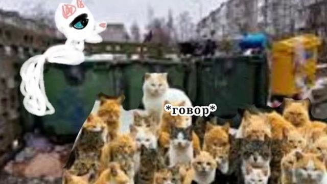 коты воители новое племя #котывоители
