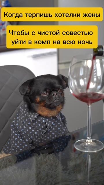 myconsolestore.ru